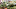 Görögdinnye piacon