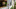 Poloska az ablakban