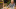 férfi étkekkel