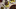 Resztelt pulykamáj vörösborosan