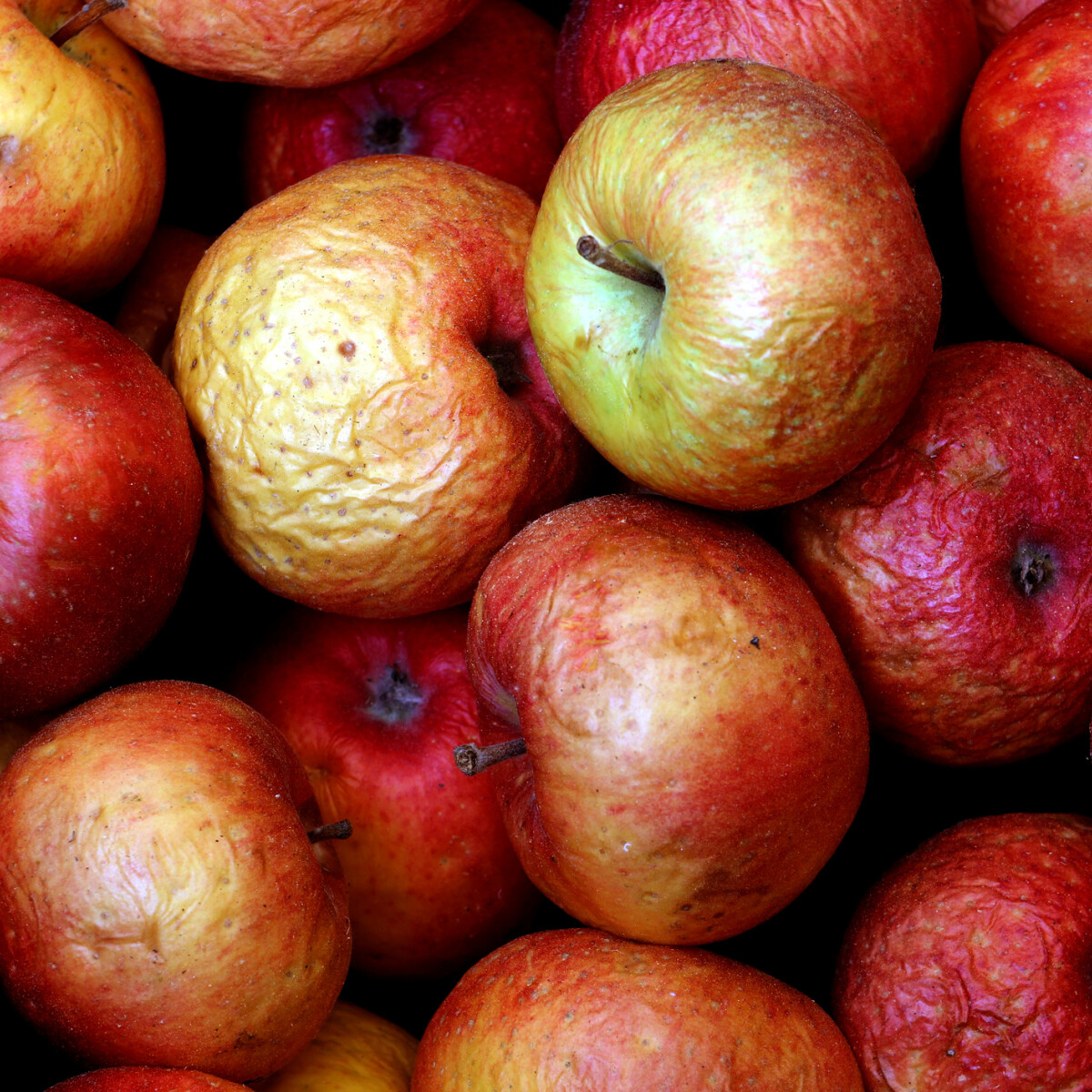 Mennyire jó ötlet megenni a megnyomódott gyümölcsöket?