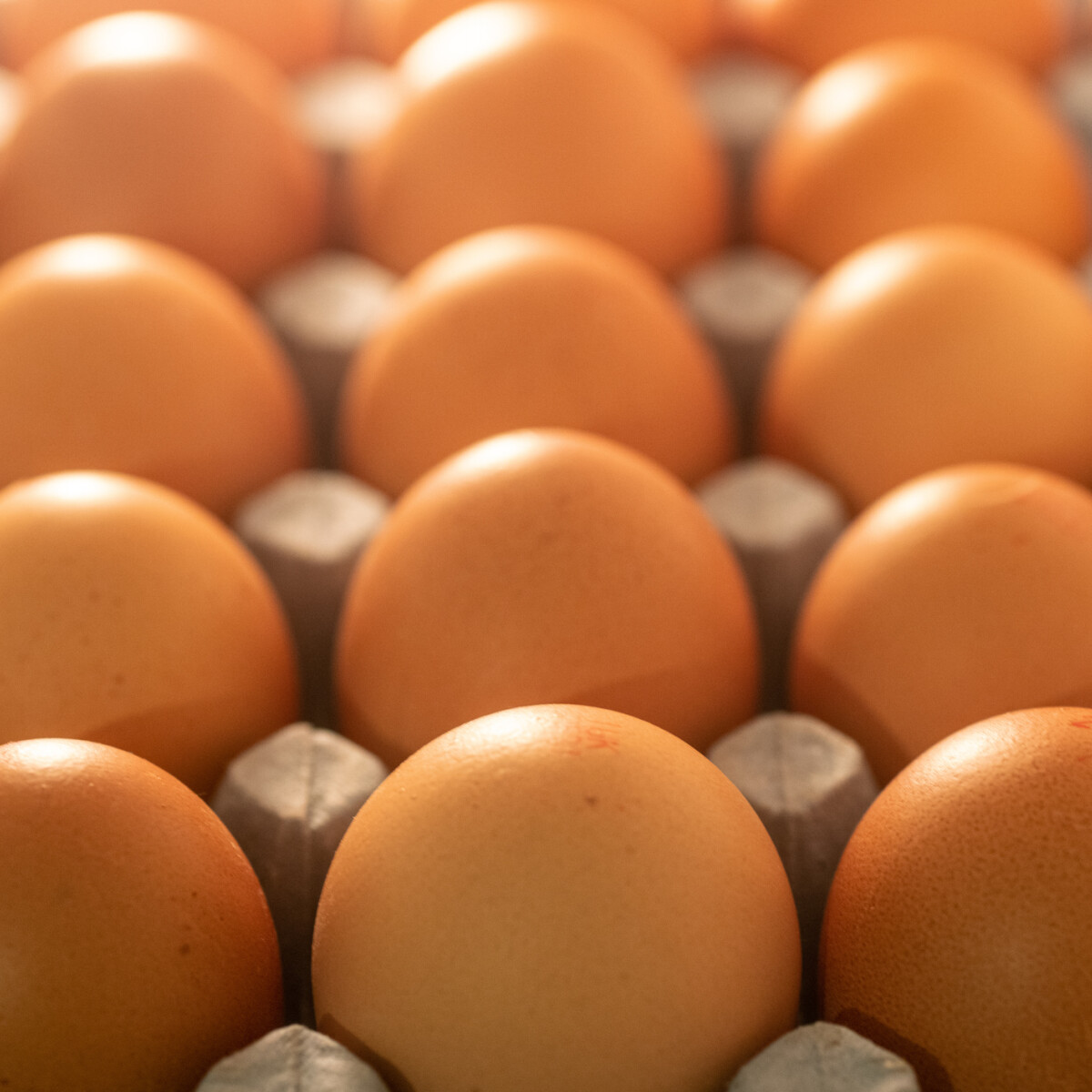 Kiderült, eddig egész életünkben rosszul tároltuk a tojást – Ez lenne a helyes tartás?