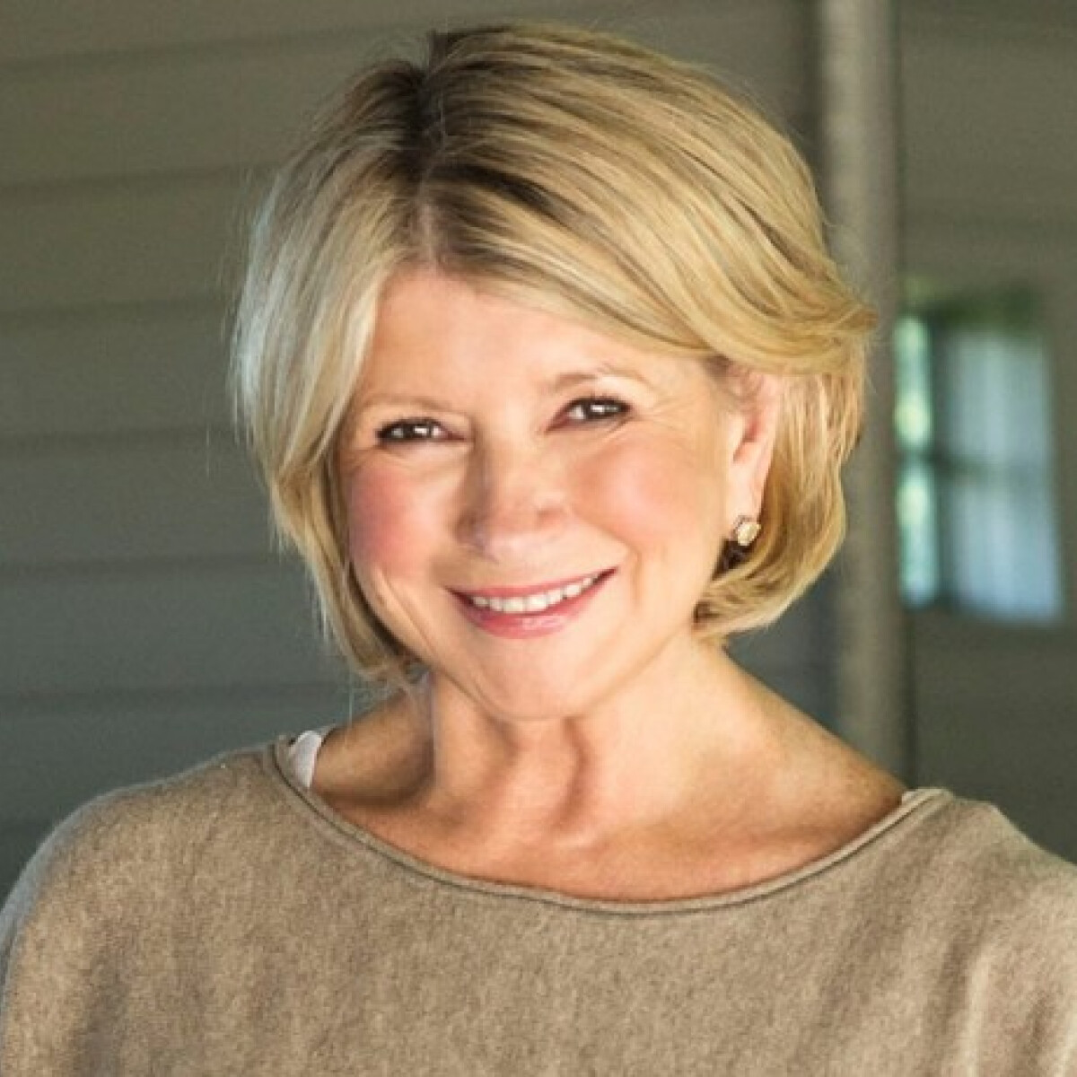 Egészen különös ok miatt kellett visszahívni a forgalomból Martha Stewart tortaszeletelőit