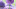 Allium