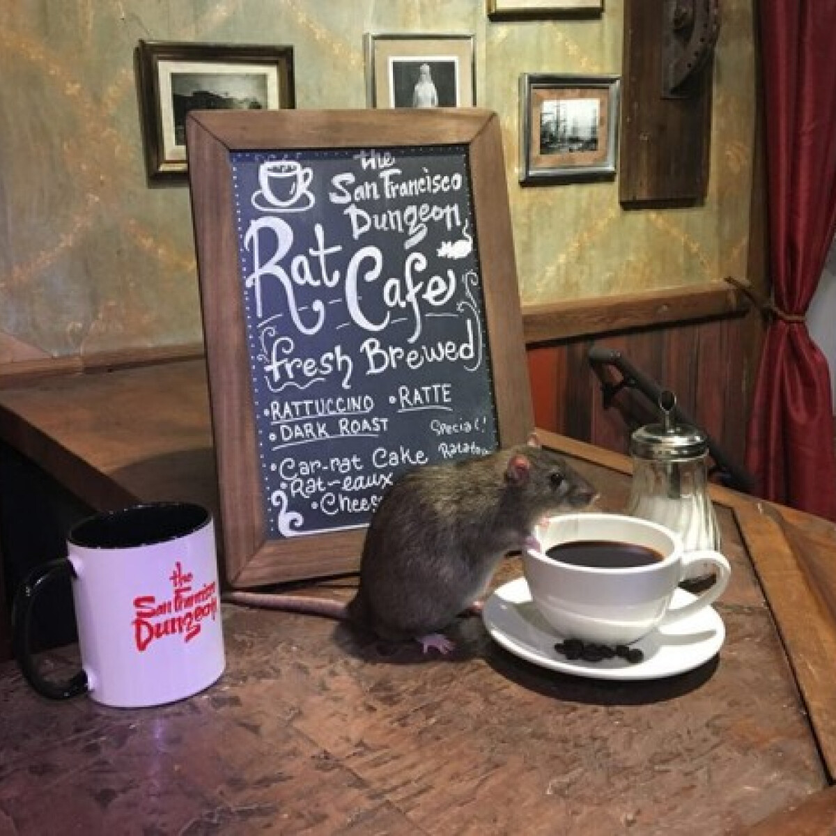 Pincér, egy patkány van a cappuccinómban! - Semmi gond, itt ez a módi