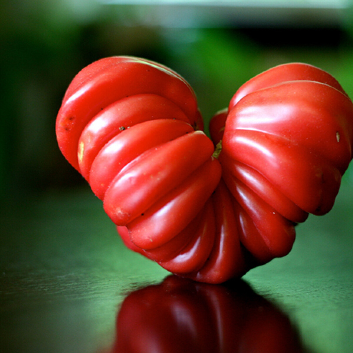 A paradicsom titokzatos összetevője