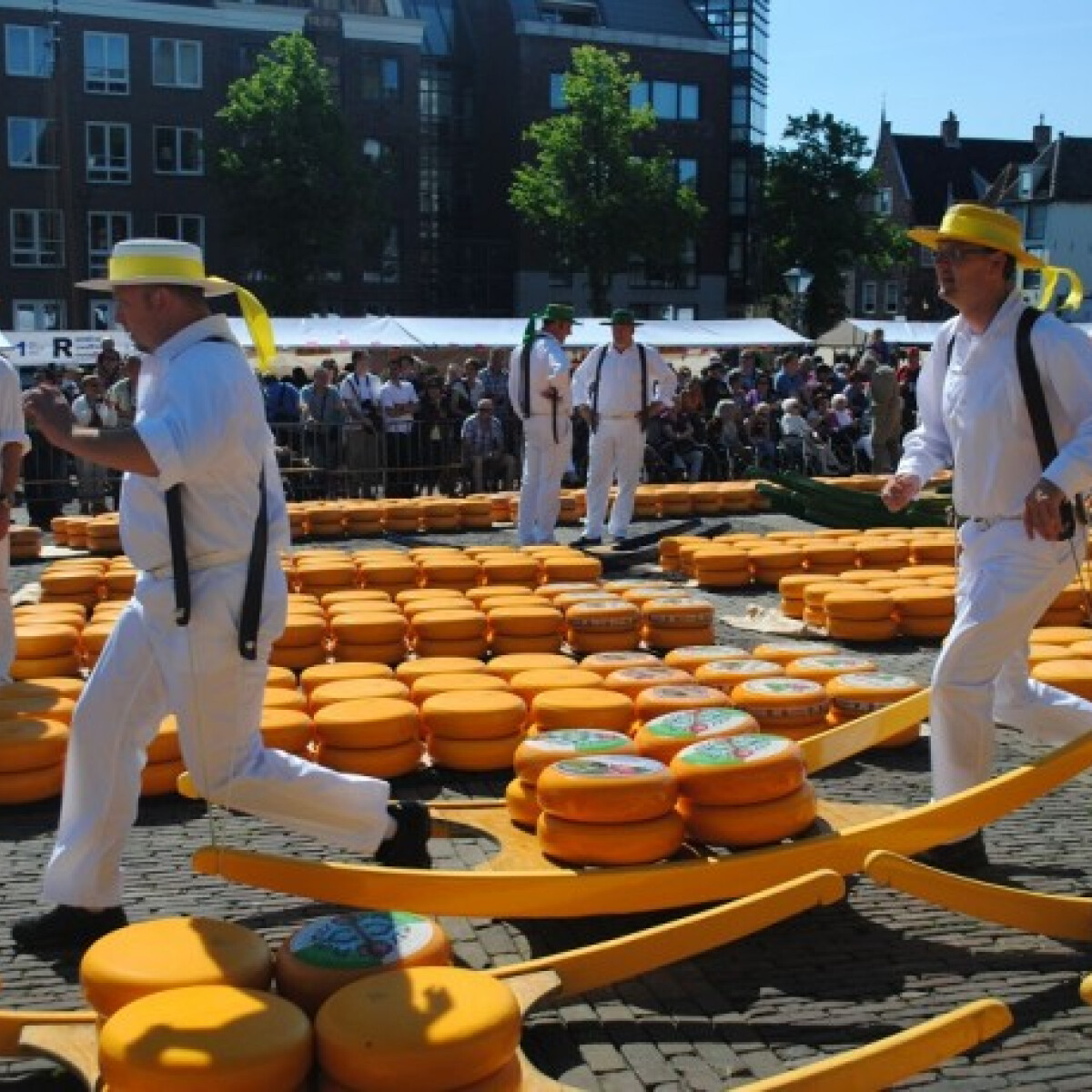 Egy kicsike ország, ami igazi sajtnagyhatalom - mi a hollandok titka?