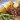 Tjalf Sparnaay fotorealisztikus ételfestményeitől csorog a nyálunk - amikor leolvad a vászonról a sajt
