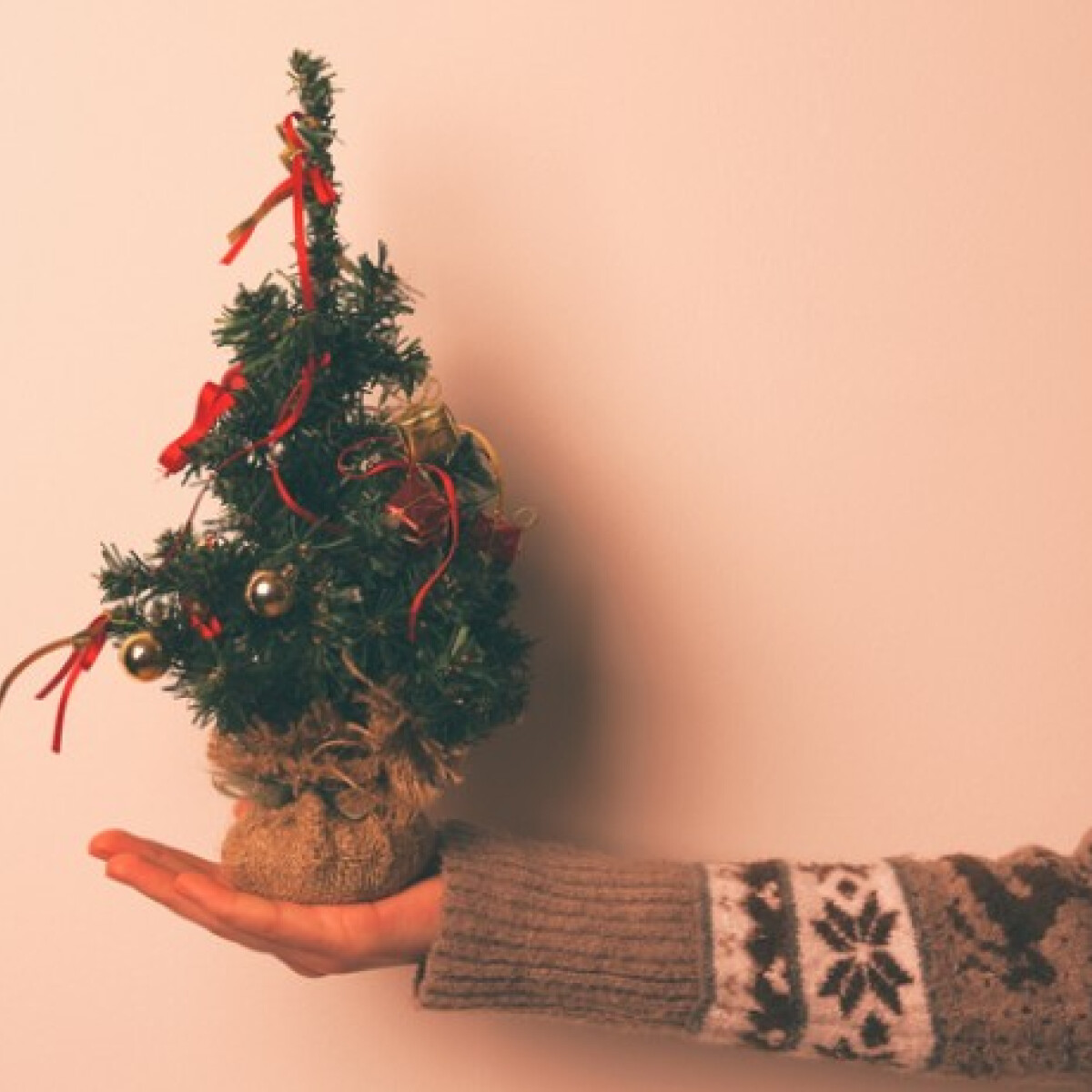 5+1 tipp, hogyan főzz, csomagolj és állíts fát karácsonykor, hogy kevesebbet pazarolj