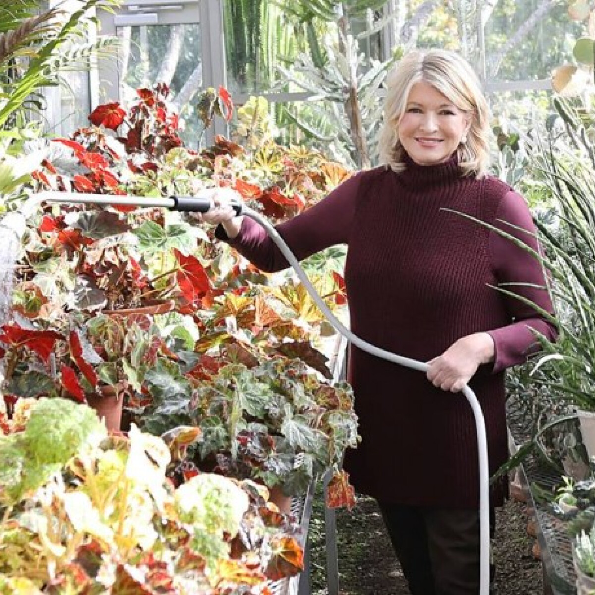 Martha Stewart olyan képet posztolt, ami kicsapta a biztosítékot
