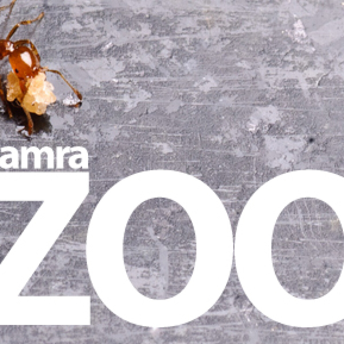 Kamrazoo - űzd el a betolakodókat!