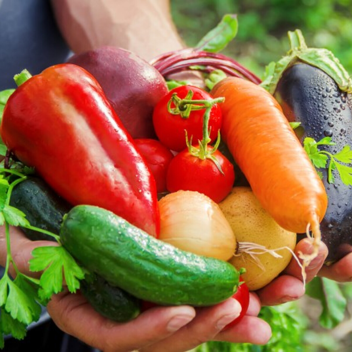 Így gondozd a konyhakertedet, hogy bőséges termés legyen! Tippek, trükkök a kiskertben