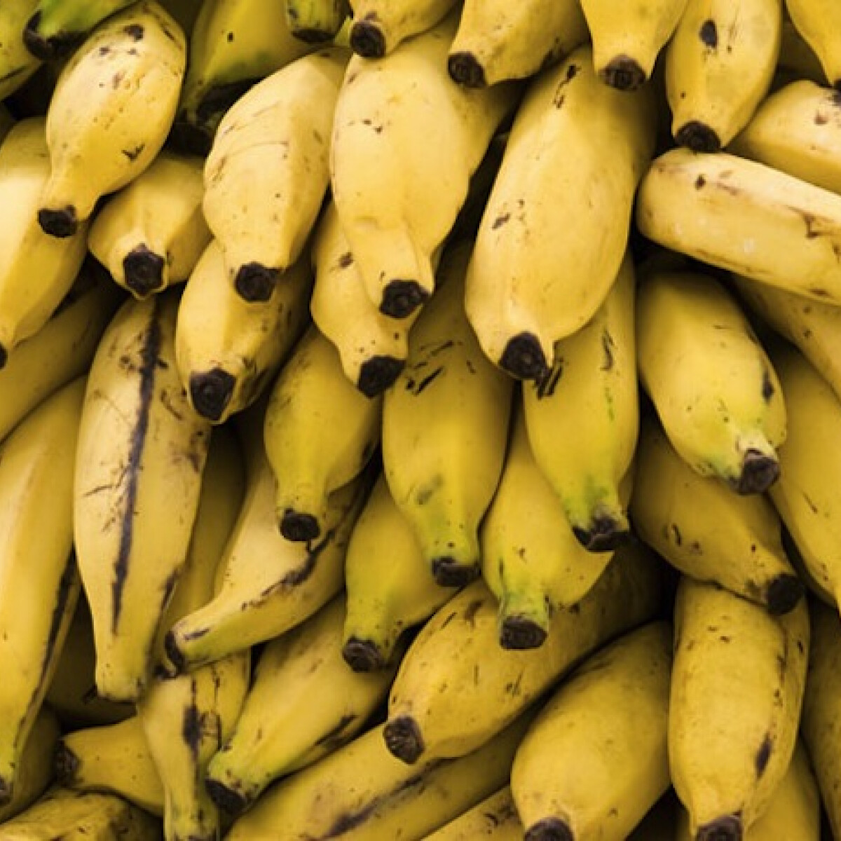 Banánturmix banán nélkül