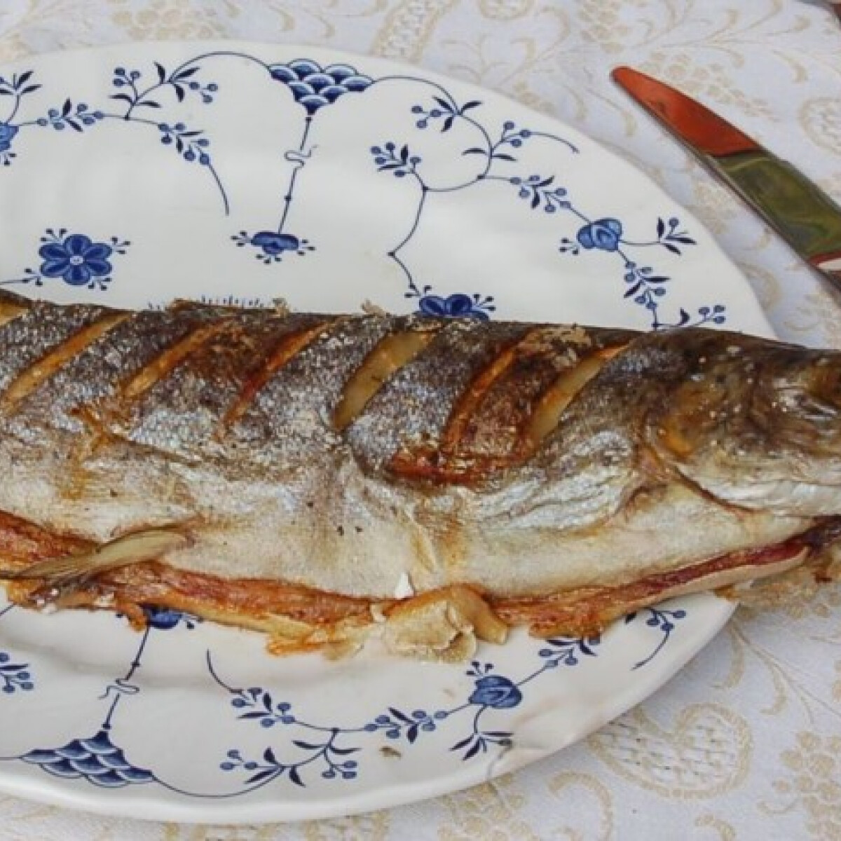 Vissza a halak aranykorába