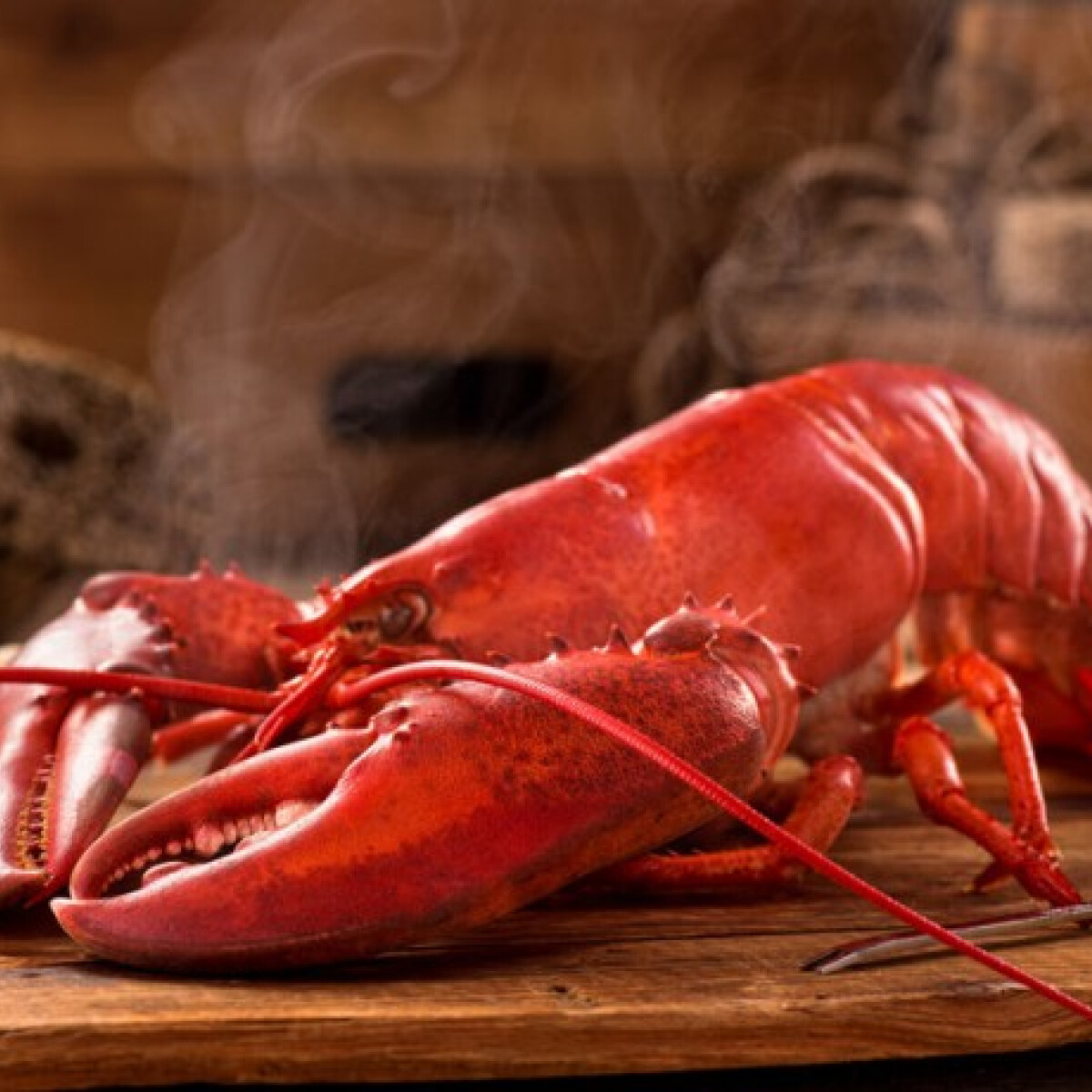 Nem találod ki, mivel bódítják a homárokat élve főzés előtt