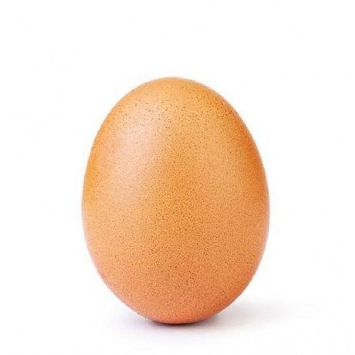 Itt a világ leghíresebb tojása, ami egy pillanat alatt letaszította a trónról Kylie Jenner babafotóját