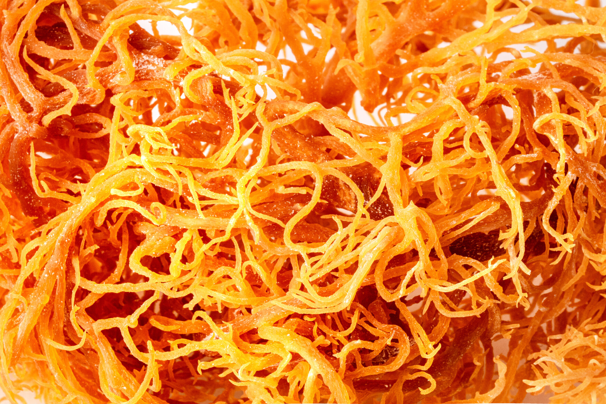 r Moszat A Szuper lelmiszer Nosalty r-moszat-a-szuper-lelmiszer-nosalty