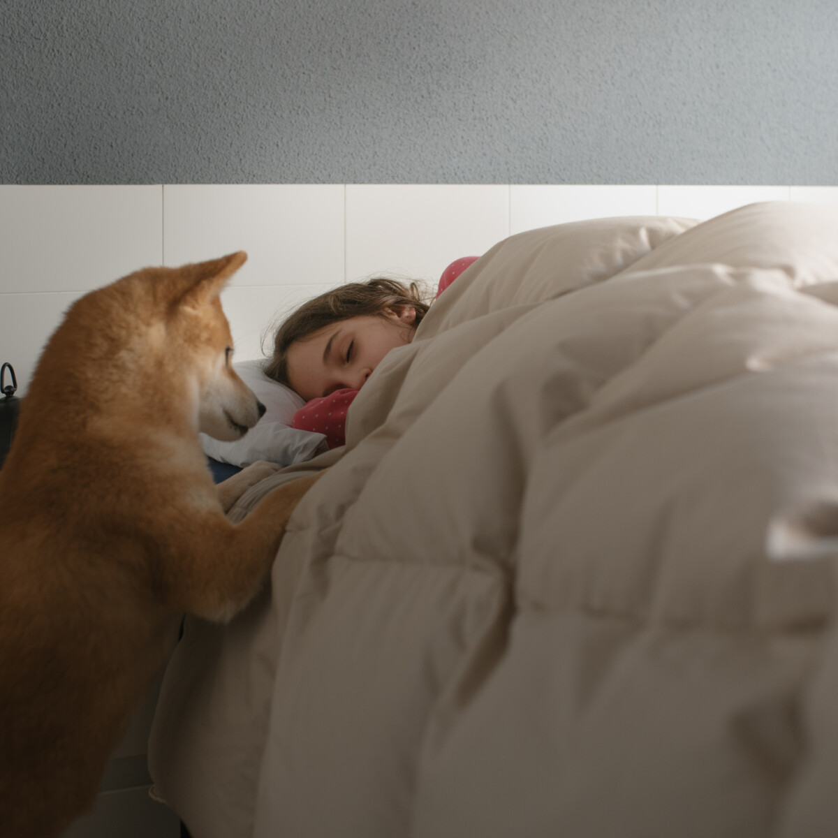 Az ok, amiért hetente 11 órával kevesebbet alszanak az állattartók