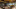 Hamarosan kiderül, kik a hazai gasztronómiai élet legjobbjai