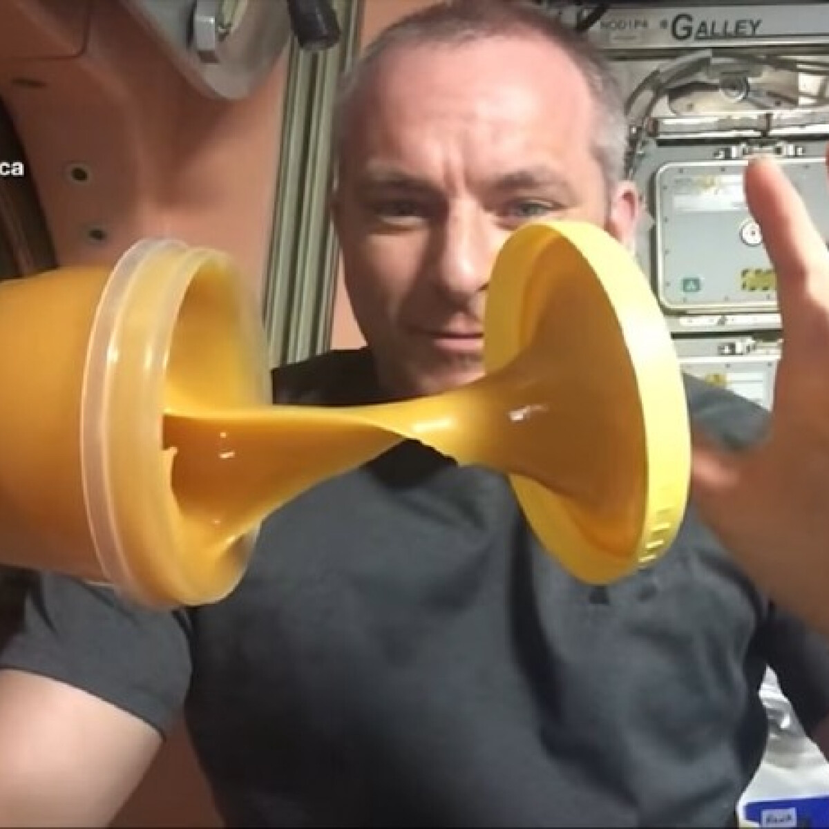 Íme egy hiánypótló videó arról, mi történik a mézzel az űrben!