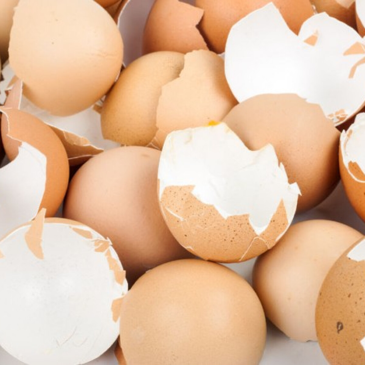 6 meglepően hasznos trükk tojáshéjjal - tudtad, hogy ha ráállsz a friss tojásra, nem törik össze?