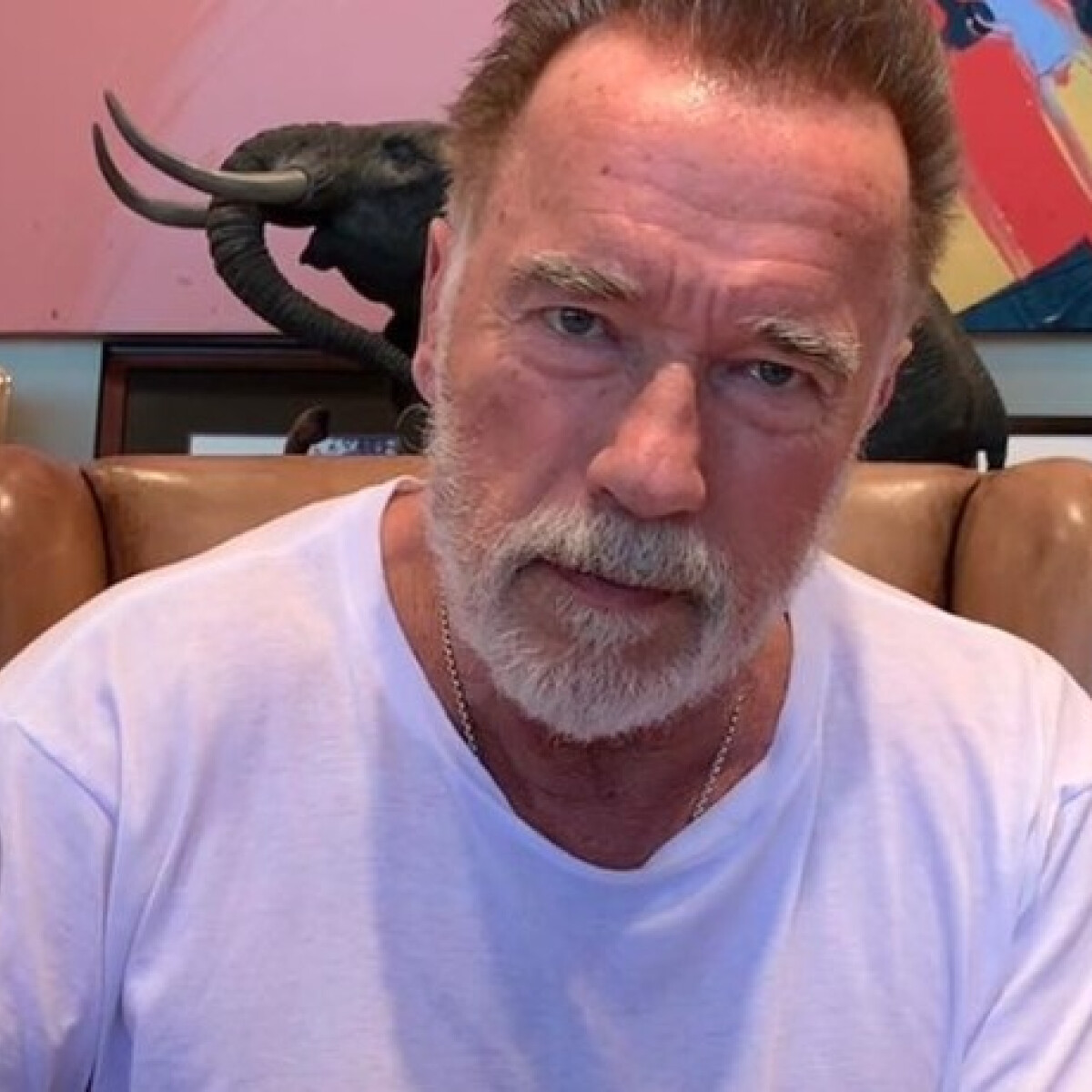 Sosem találnád ki, mi a Terminátor kedvence - most belenézhetsz Arnold Schwarzenegger hűtőjébe