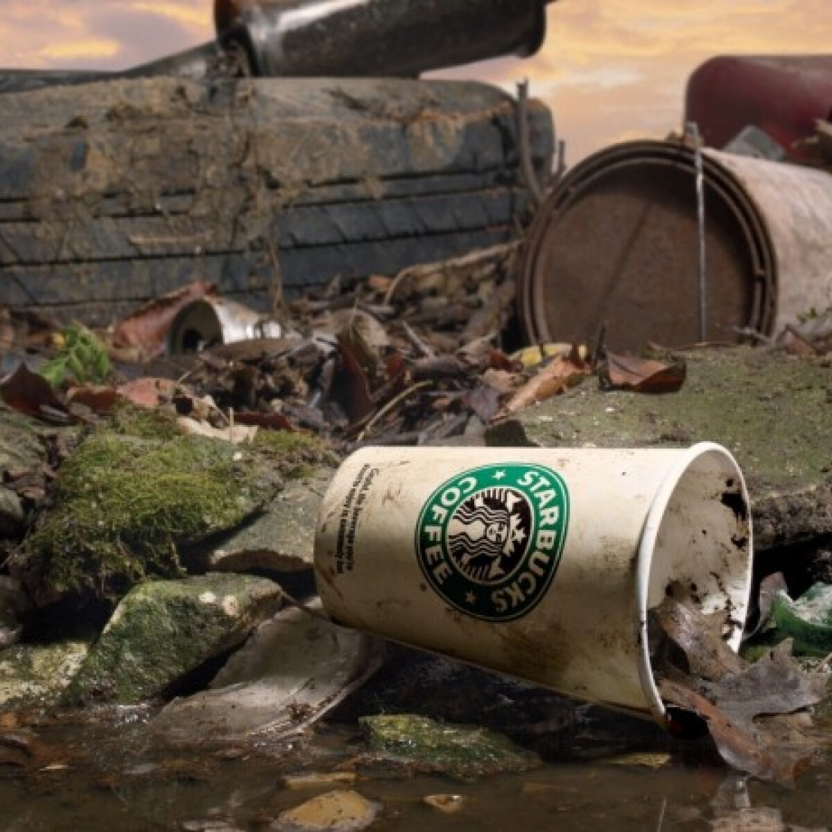 A Starbucks tud róla, mégis ennyi újrahasznosítatlan papírpohár kerül évente a szeméttelepekre