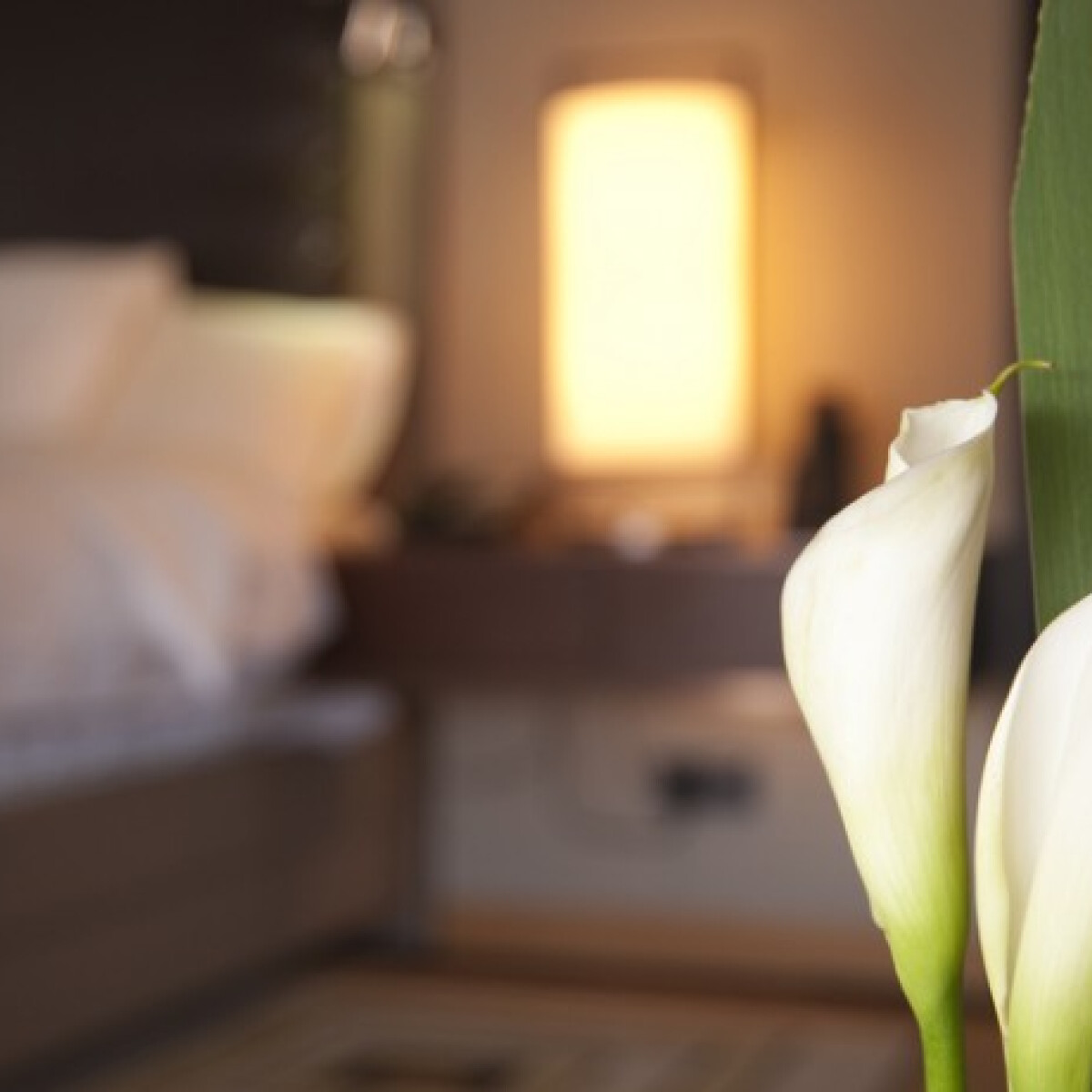 Növények a hálószobában: ártalmasak, vagy elősegítik a jó alvást?