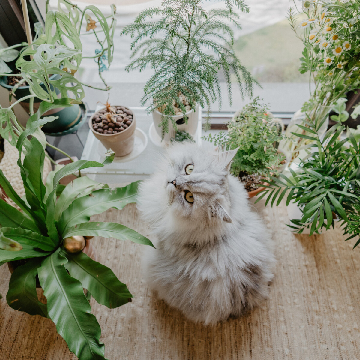 3 tuti örökzöld tipp, amivel feldobhatod a panellakást