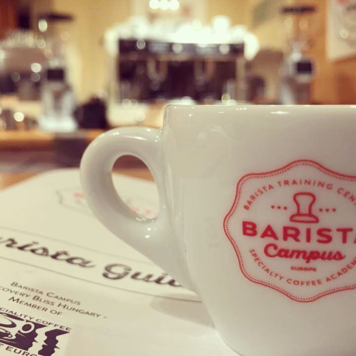 Megmutatni a kávét úgy, ahogy van – interjú a Barista Campus megálmodóival