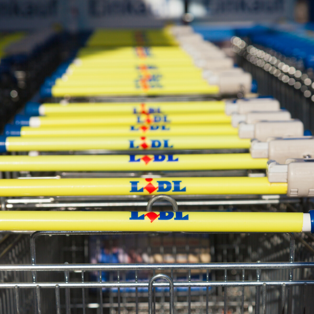Bomba tavaszi ízduó – Az új Mizo Túró Rudit most kizárólag a Lidlben vásárolhatod meg, ne maradj le róla