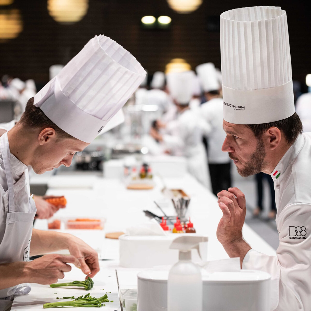 Képek a tűzközelből – Így dolgozott a magyar csapat a Bocuse d'Or-on