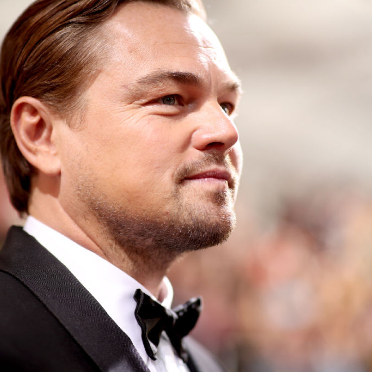 Leonardo DiCaprio legújabb projektje így segít a bolygónak