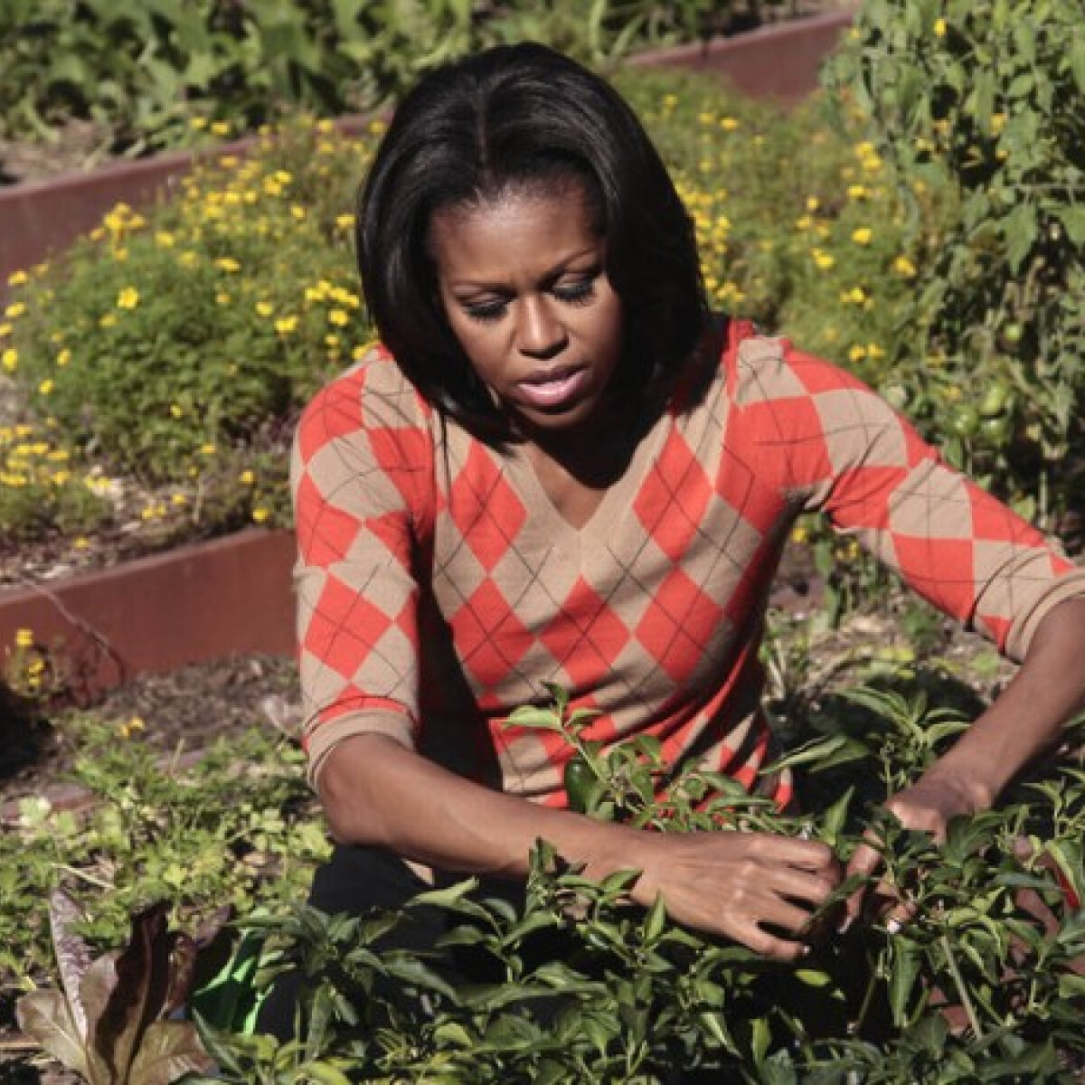 Ilyen volt az ex-First Lady, Michelle Obama konyhakertje