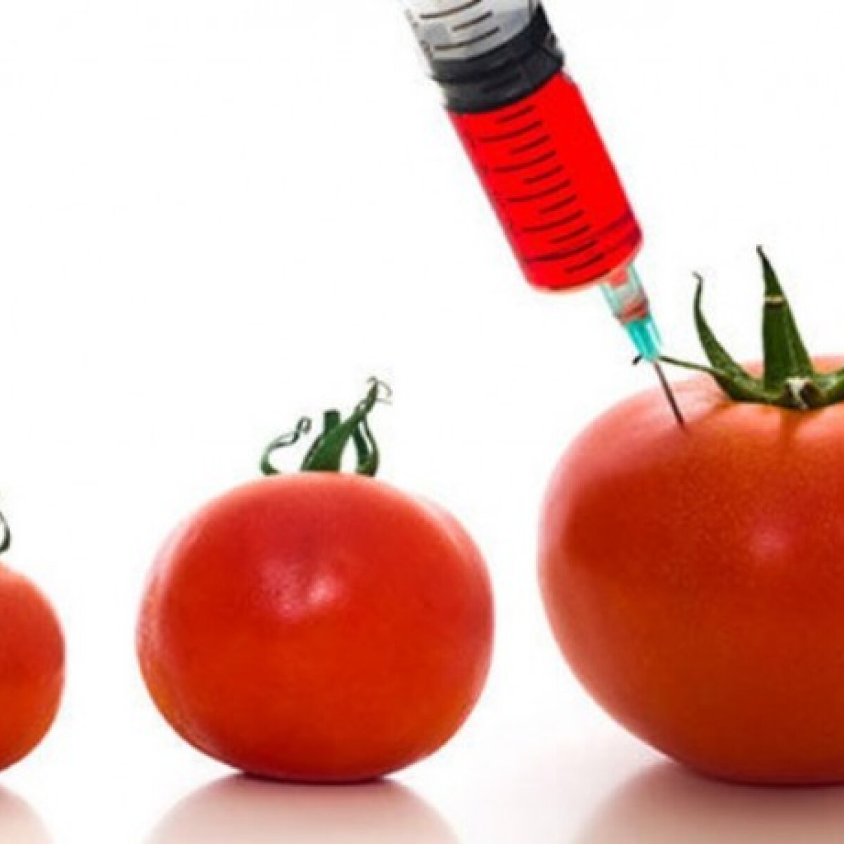 Mi az a GMO?