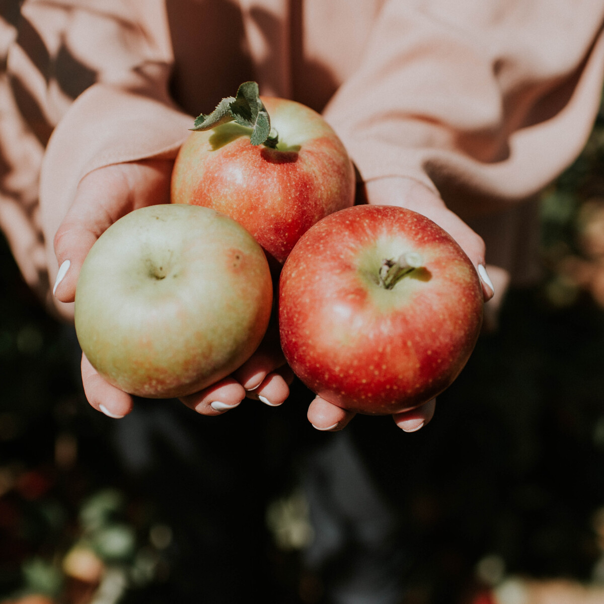 Komoly mellékhatásai lehetnek, ha túl sok almát eszel