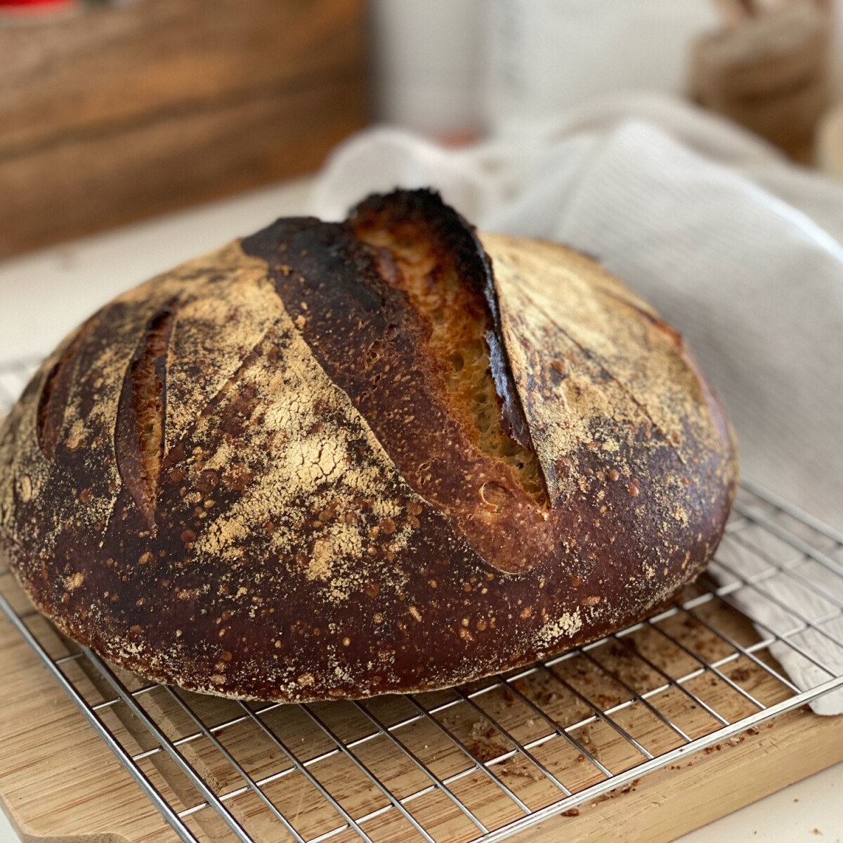 4 baki, ami elronthatja a házi kenyered