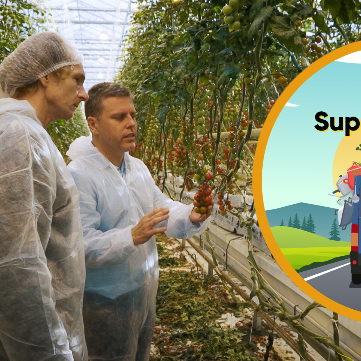 SUPERFOORGON 7.rész – A Veresi Paradicsom lélegzetelállító ültetvényén jártunk – VIDEÓ
