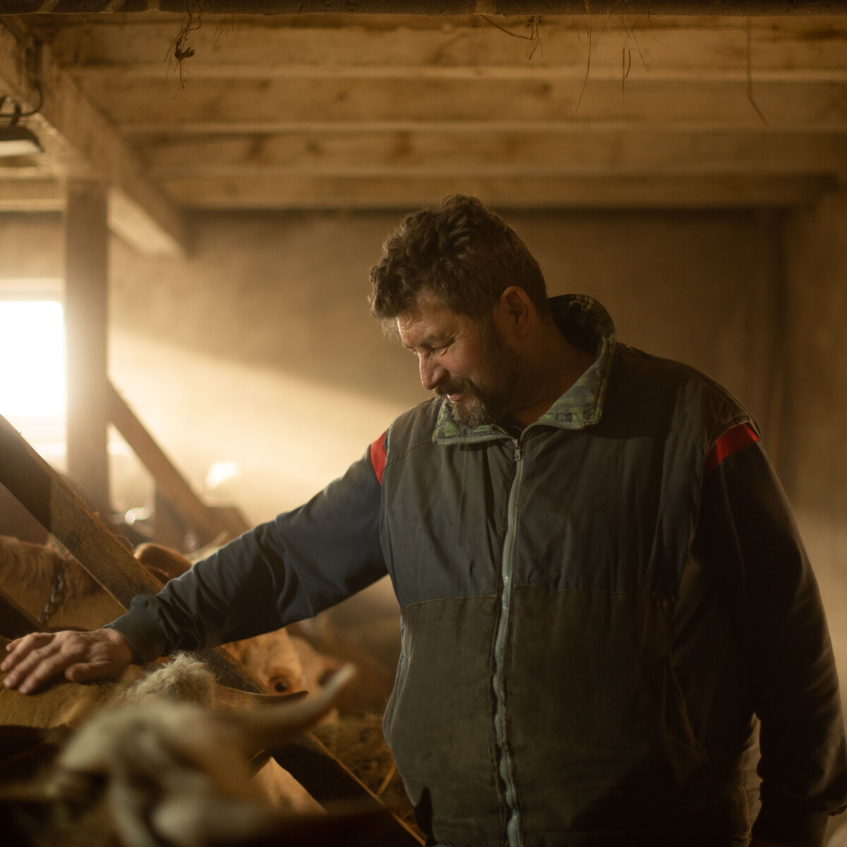 „Az előre ma egy természetközeli, szerényebb életforma irányában van” – Bányász Józseffel, a gyergyóújfalvi Tejbánya gazdájával beszélgettünk