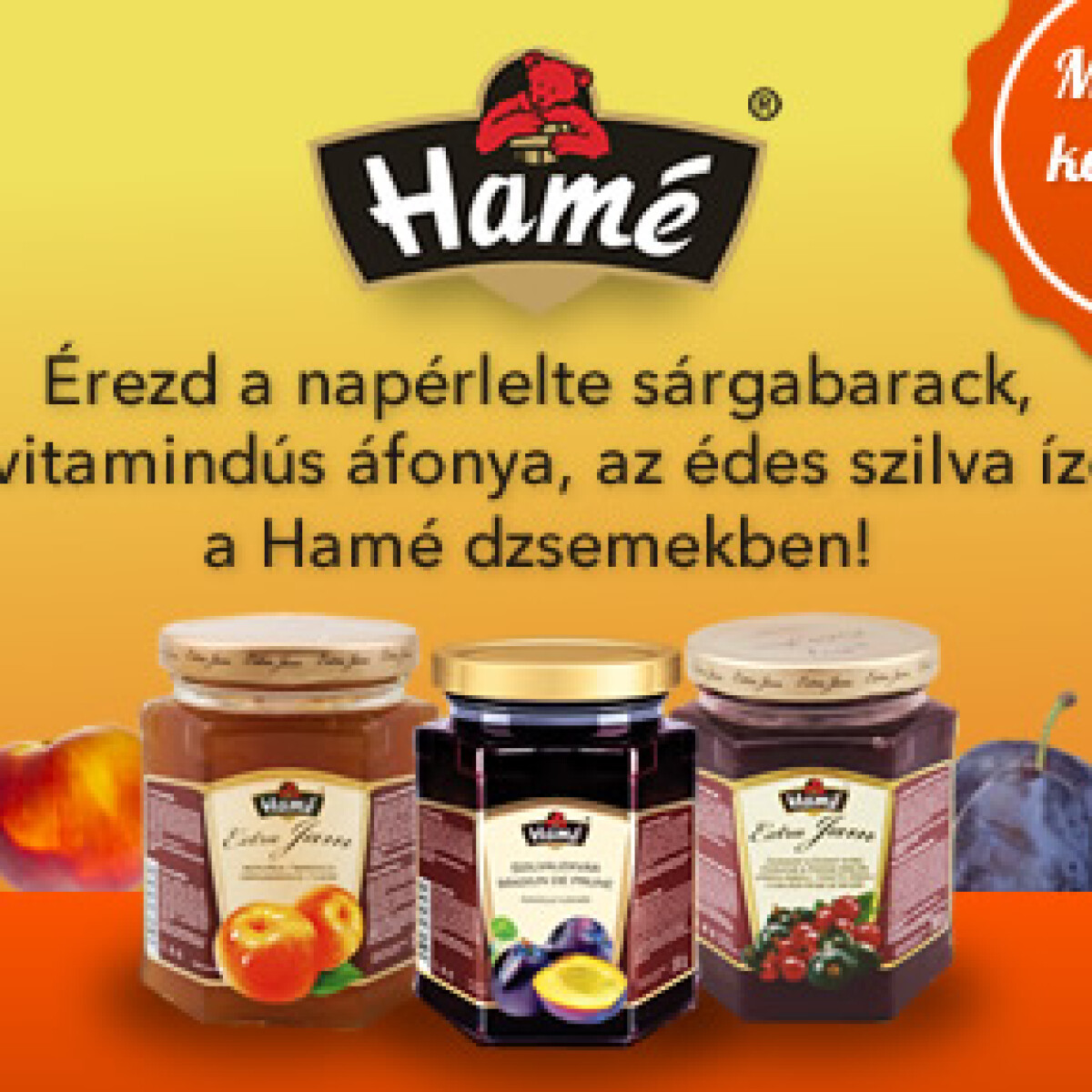Mit nyertél a Hamétól?