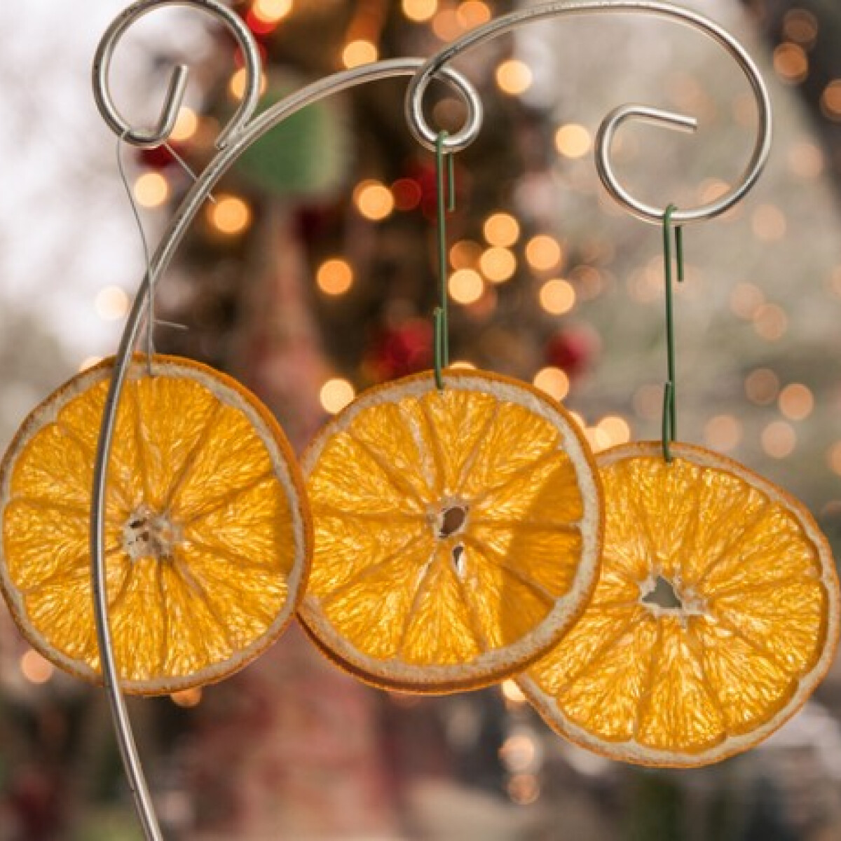 Így készíts fali függőt és karácsonyfadíszt citrusokból