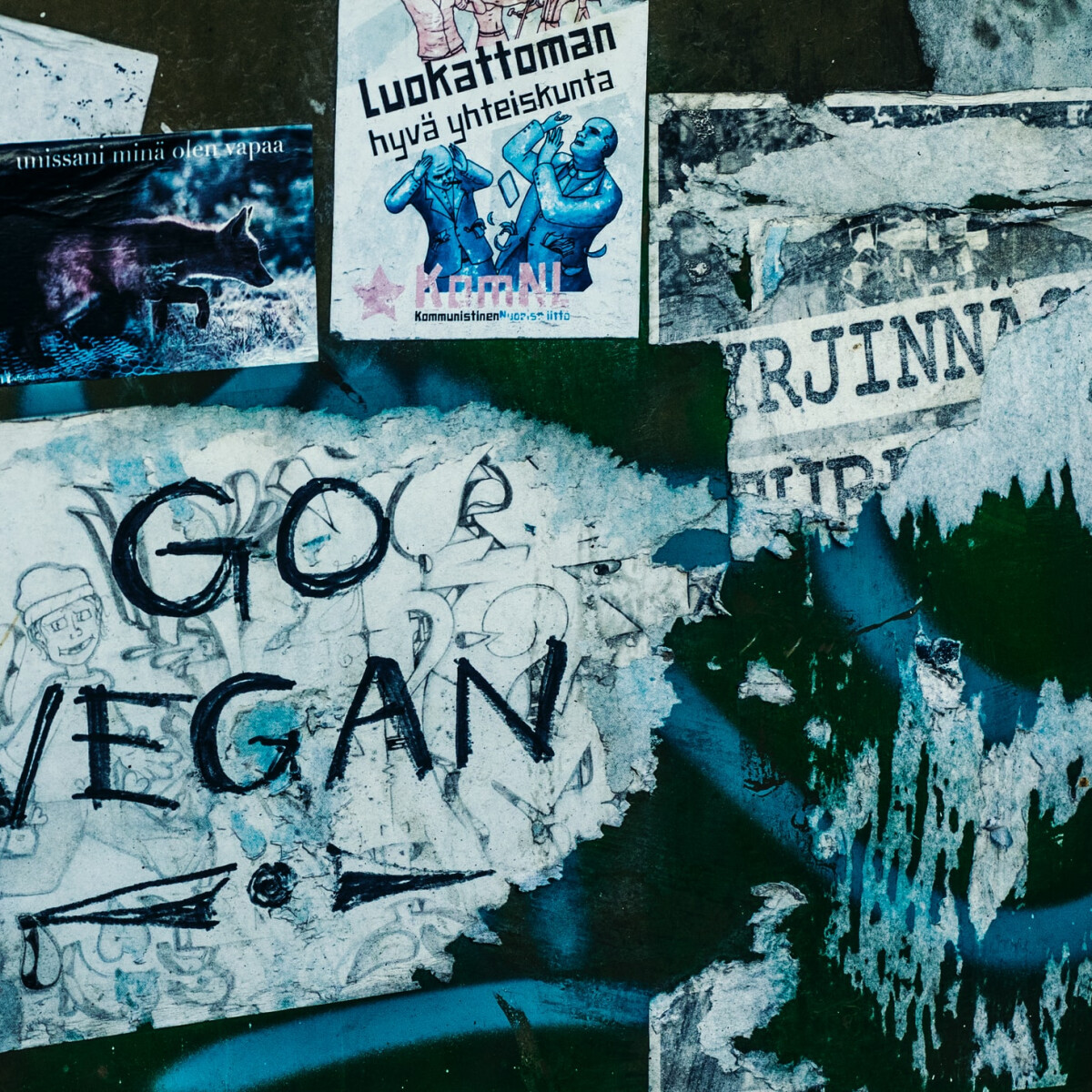 Nem divathóbort, nem trend: a vegánságnak több ezer éves hagyománya van