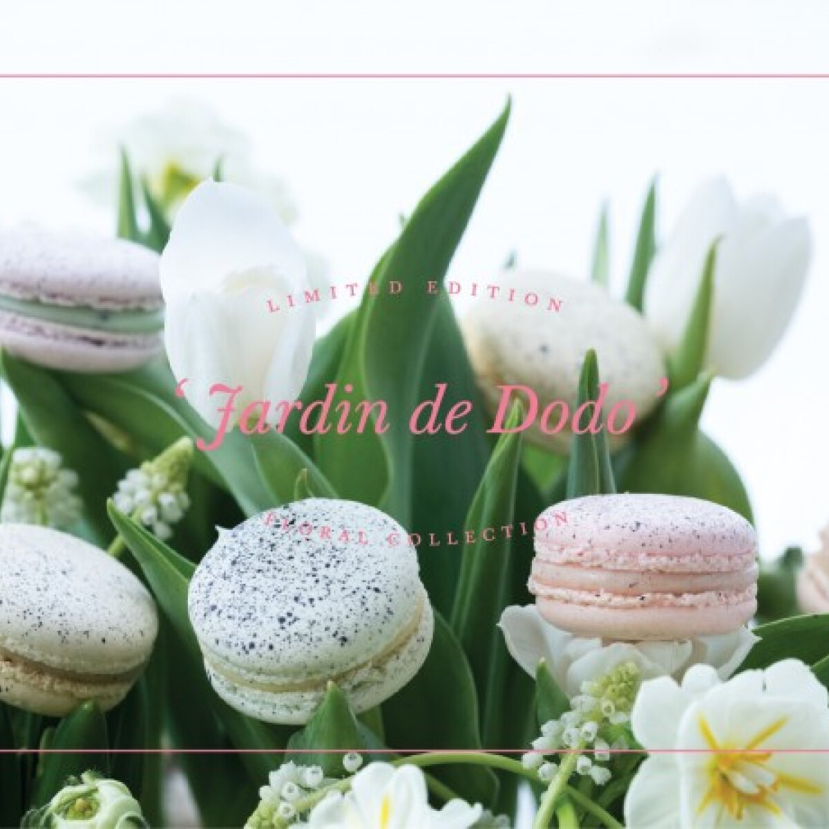 6 vadiúj, tavaszi pasztell-macaron a Chez Dodonál