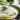 tokeletes-kremes-tzatziki-nyari-salata-gorog-tipp-martas