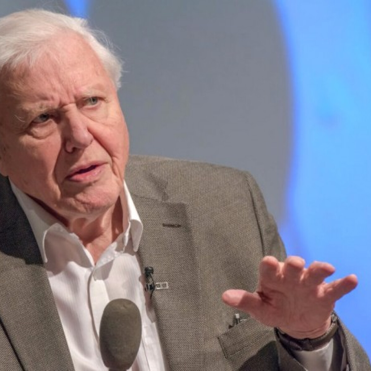 Sir David Attenborough egészen elképesztő rekordot döntött 94 évesen
