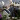 olcso-konyhai-fuszer-tapoldat-novenyek-orchidea-fahej-tipp