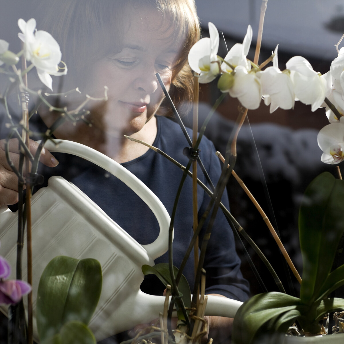 Ettől az olcsó konyhai fűszertől 2 hét alatt megtáltosodik az orchideád