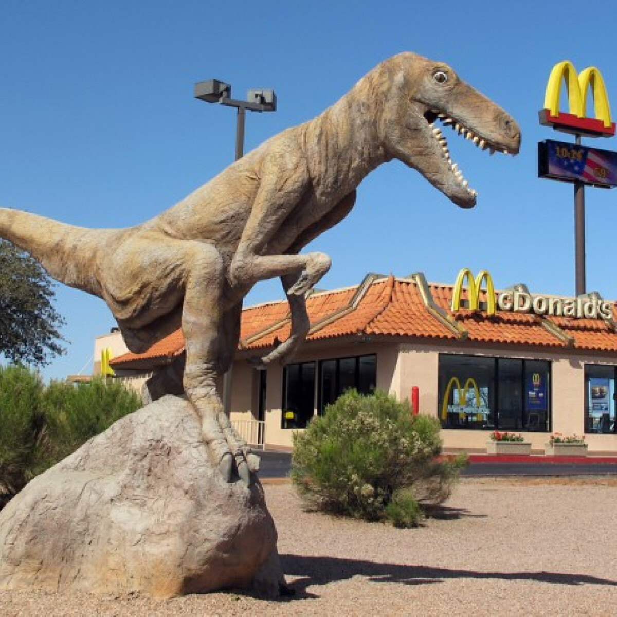 A McDonald's megpróbálta kiütni a dinókat Kanadában. Visszavágtak!