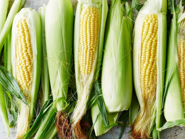 Kukorica kalória - Lehet fogyni kukoricával? - Diet Maker