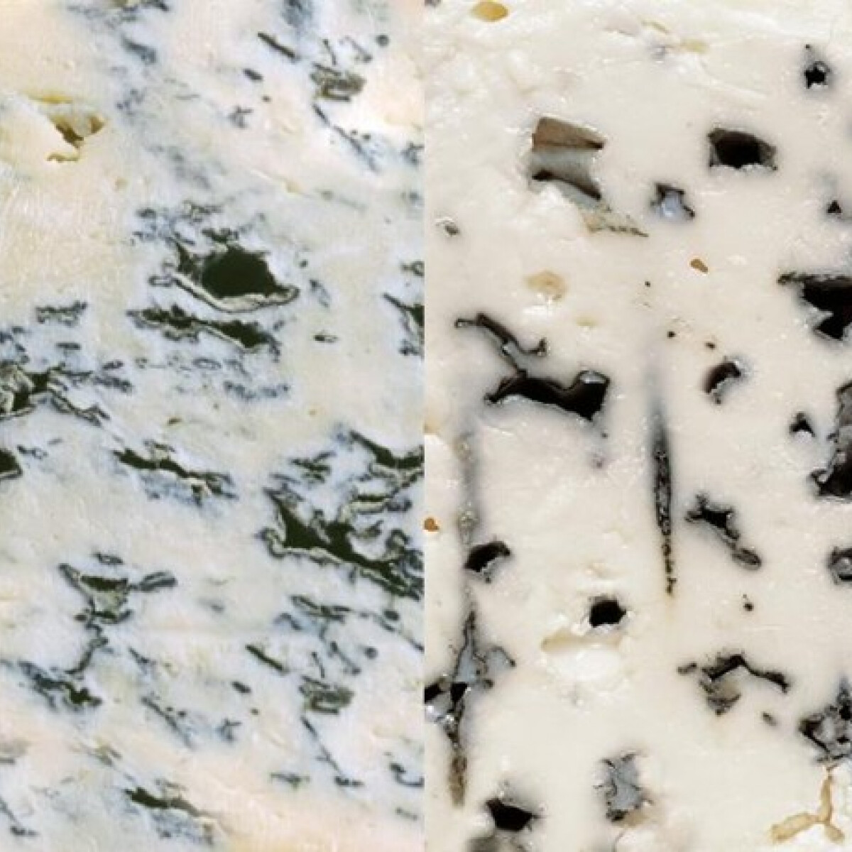 Kéksajtrejtély: mi a különbség a gorgonzola és a roquefort között? Na és mi a márványsajt?